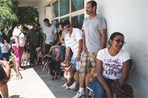 Animais com tutores que não possuem condições financeiras também recebem superte da organização. (Foto: Reprodução / Moncho Camblor)