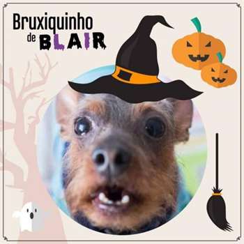 Chiquinho de "Bruxinho de Blair". (Foto: Reprodução / Cantinho de Chiquinho)