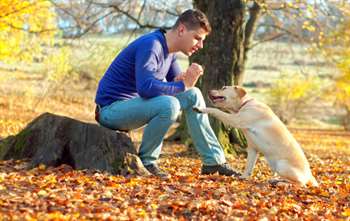 adestramento-canino-e1418698799238