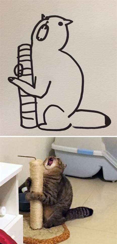 Foto: Poorly Cat Draw