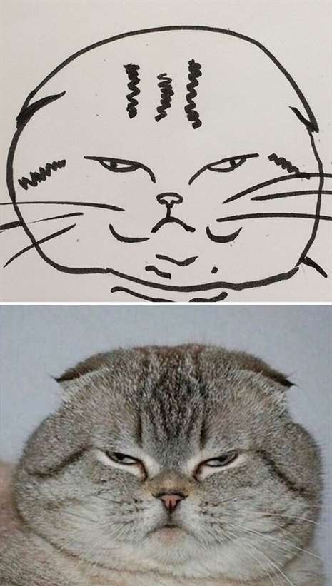 Foto: Poorly Cat Draw