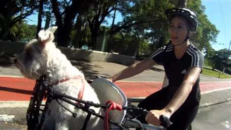 passeio bicicleta