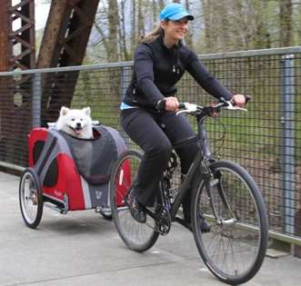 passeio bicicleta