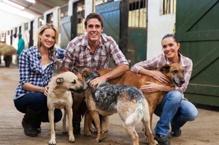 ter cÃ£o dividindo apartamento