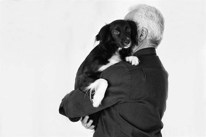 cÃ£o no colo do dono