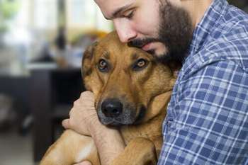 O câncer pode ser prevenido nos cachorros?