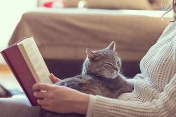 10 benefícios de se ter um gato em casa