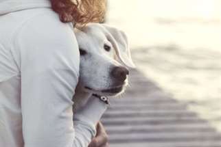 Mulher abraçando cachorro