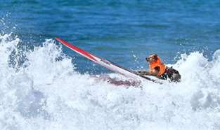 O evento acontece todos os anos em Huntington Beach, na California