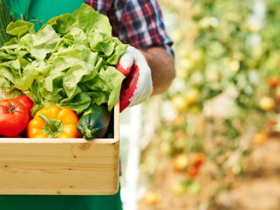 Apoiar pequenos agricultores diminui custos e desperdício de alimentos