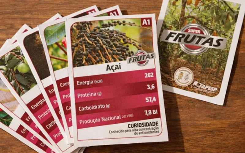 Jogo de cartas ensina sobre frutas da Amazônia de forma divertida