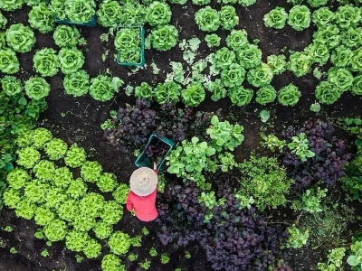 Inteligência Artificial IARAA revoluciona agroecologia e reforma agrária no Brasil