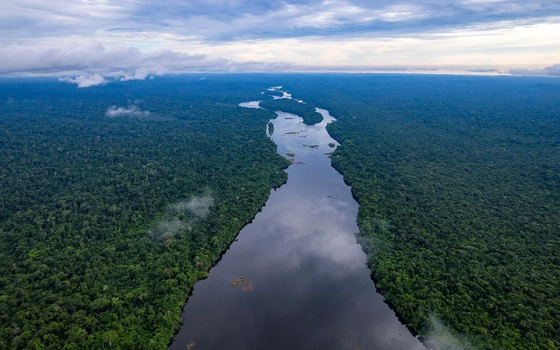 Amazônia registra aumento na superfície de água após dois anos de seca