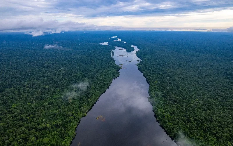 Amazônia registra aumento na superfície de água após dois anos de seca