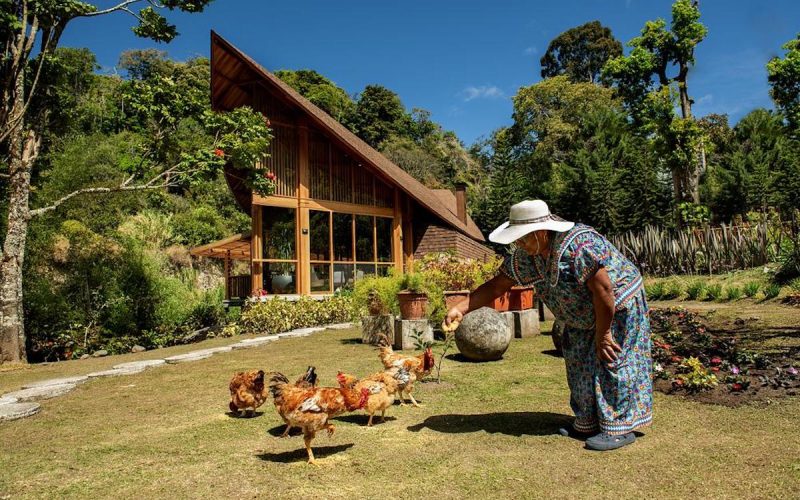 Casa em formato de folha seca destaca arquitetura sustentável no Panamá