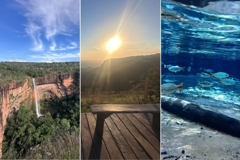 Descubra os Encantos do Cerrado em um Roteiro de Três Dias no Mato Grosso