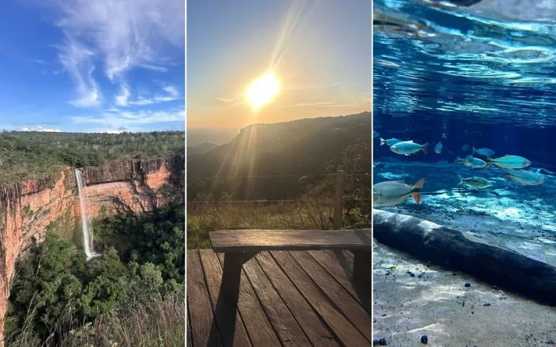 Descubra os Encantos do Cerrado em um Roteiro de Três Dias no Mato Grosso