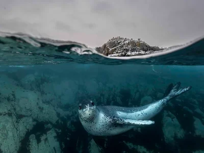 Novo Tratado do Alto-Mar Promete Revolucionar a Proteção dos Oceanos
