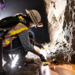 Microorganismos descobertos no subsolo podem revolucionar captura de CO₂