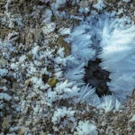 Degelo do permafrost transforma rios em aliadas na neutralização de CO₂