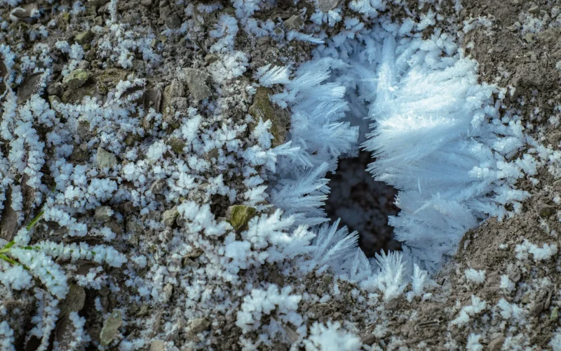 Degelo do permafrost transforma rios em aliadas na neutralização de CO₂