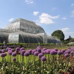 Jardim Botânico de Kew digitaliza 7,4 milhões de amostras para conservação global