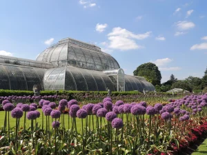 Jardim Botânico de Kew digitaliza 7,4 milhões de amostras para conservação global