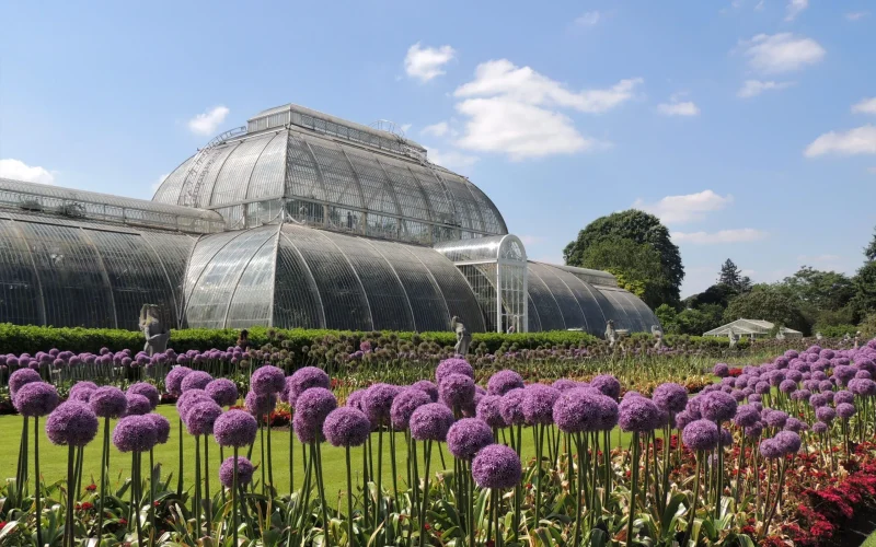 Jardim Botânico de Kew digitaliza 7,4 milhões de amostras para conservação global