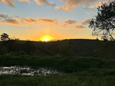 Vila Terra Biodinâmica promove vida comunitária através da permacultura e regeneração