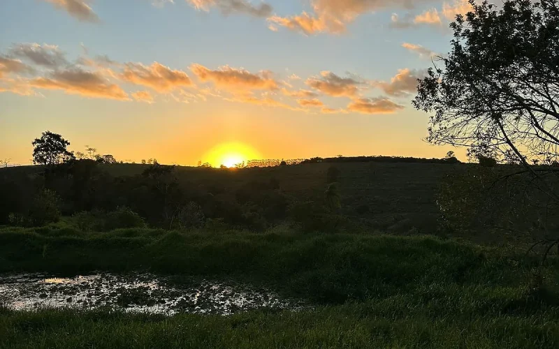 Vila Terra Biodinâmica promove vida comunitária através da permacultura e regeneração