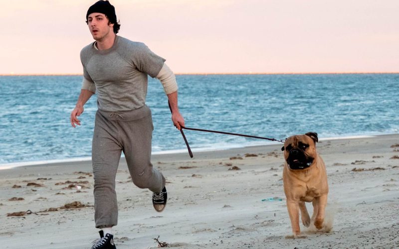 Eu Sou O Rocky estreia nos cinemas do Brasil em 19 de novembro com trailer divulgado