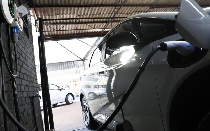 BYD Dolphin Mini se destaca como o terceiro carro mais vendido no RS em 2026