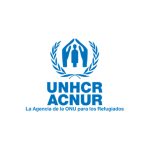 Mentoria em São Paulo apoia empreendedores refugiados na busca por oportunidades