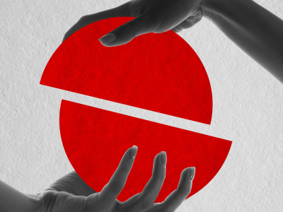Dualidade no Web Agent: Identidade e Capacidade em Foco para Sites