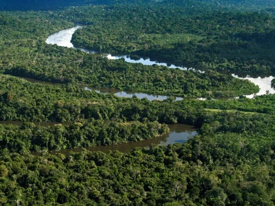 Desmatamento na Amazônia é quase zero em áreas protegidas no primeiro semestre