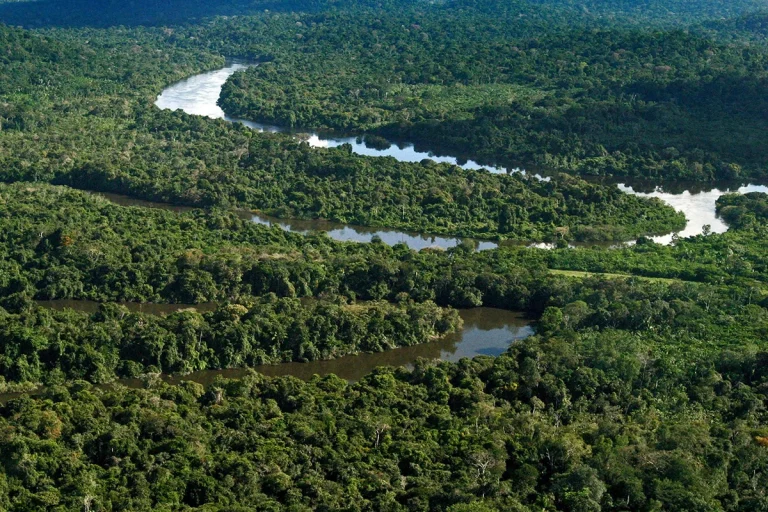Desmatamento na Amazônia é quase zero em áreas protegidas no primeiro semestre