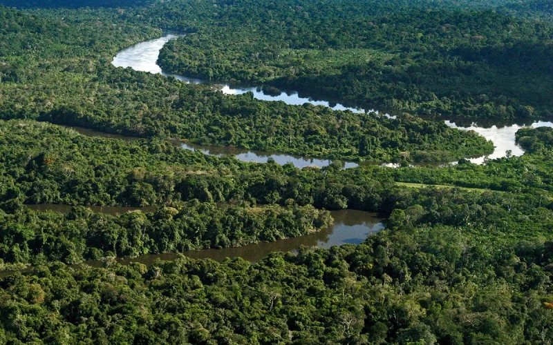 Desmatamento na Amazônia é quase zero em áreas protegidas no primeiro semestre
