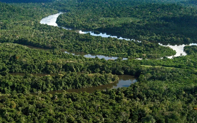 Desmatamento na Amazônia é quase zero em áreas protegidas no primeiro semestre