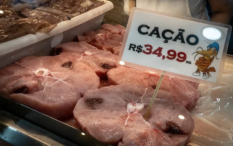 Contaminantes na carne de cação: riscos à saúde e conservação marinha