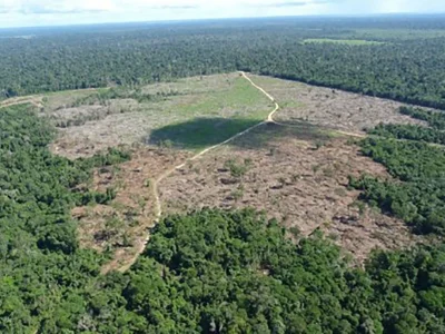 Desmatamento na Amazônia alcança menor nível em uma década