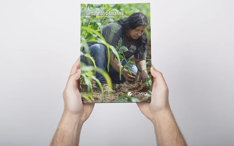 Guia prático para a transição da pecuária para agroflorestas sustentáveis