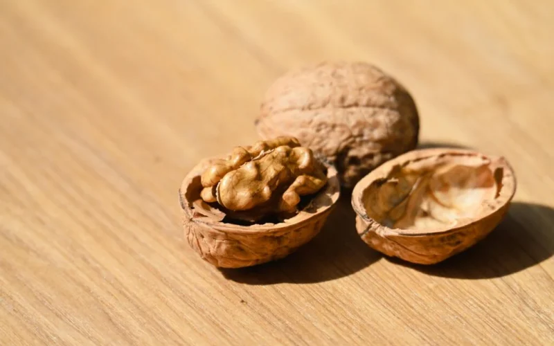Alimentos essenciais para manter a saúde da pele e retardar o envelhecimento