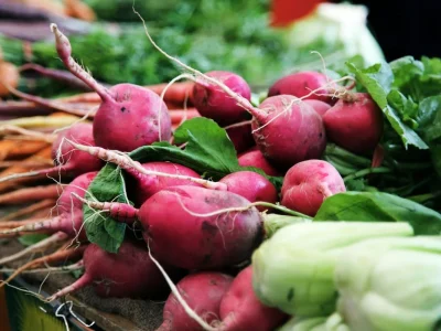 Estudo revela que consumir mais vegetais é melhor que probióticos para intestino