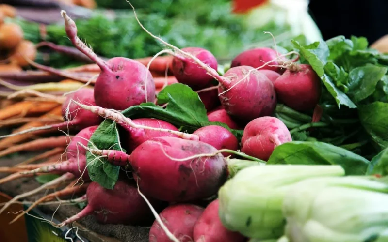 Estudo revela que consumir mais vegetais é melhor que probióticos para intestino