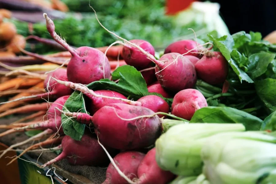 Estudo revela que consumir mais vegetais é melhor que probióticos para intestino
