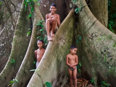 Projeto Água Vida promove conservação ambiental em todos os biomas brasileiros