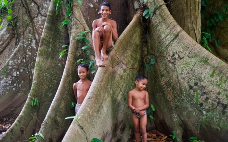 Projeto Água Vida promove conservação ambiental em todos os biomas brasileiros