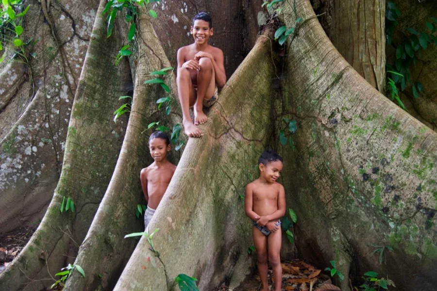 Projeto Água Vida promove conservação ambiental em todos os biomas brasileiros