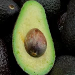 Descoberta de diversidade genética de abacates na Nicarágua fortalece cultivo sustentável