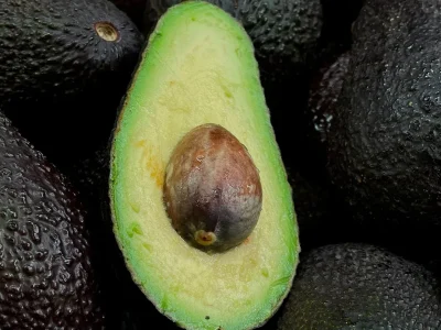 Descoberta de diversidade genética de abacates na Nicarágua fortalece cultivo sustentável